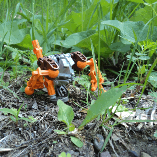 Photo of the monkey walking along the forest floor. It is orange and grey, with a regular Bionicle face and big, strong arms.