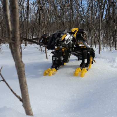 Photo of a Muaka trundling through the snowy forest.